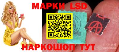 гидропоника Можайск