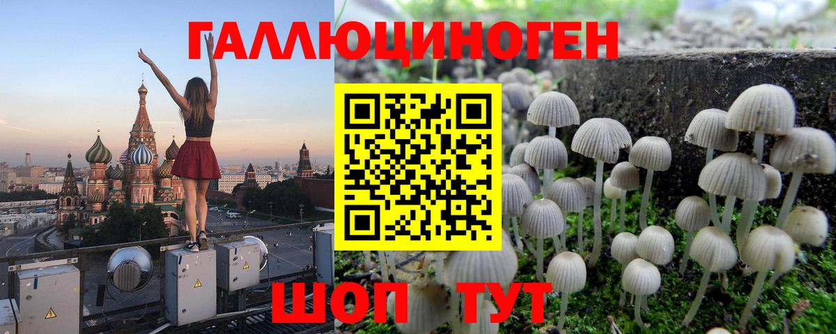 Псилоцибиновые грибы мицелий Выборг