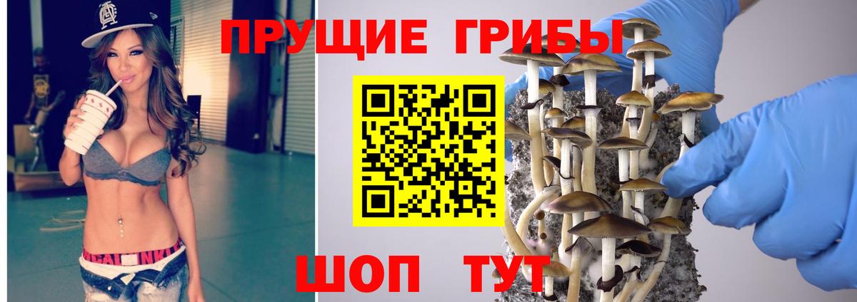 Галлюциногенные грибы MAGIC MUSHROOMS  Псилоцибиновые грибы MAGIC MUSHROOMS  Выборг  Вход с VPN 